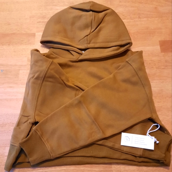 Chestnut Cropped Hoodie🤎 - Picture 4 of 6